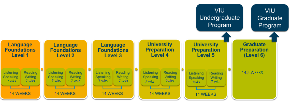 University and graduate foundation preparation programs